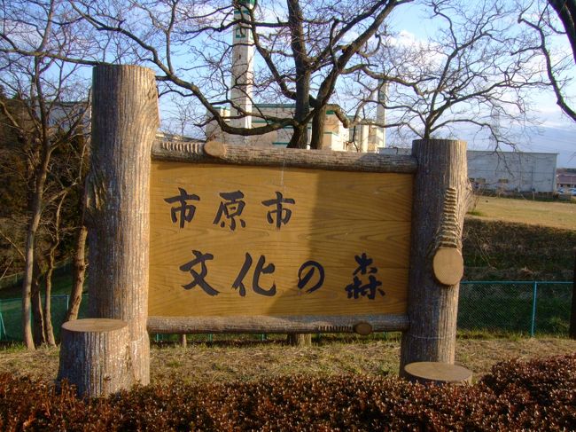09年01月05日(月)、MR4Fで市原市「文化の森」までポタリング。