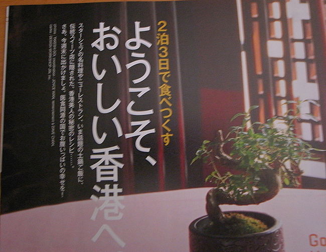 ★｢フィガロジャポン2009年3/5号｣<br /><br />とじこみ別冊20ページで香港特集。<br /><br />全体的に高級店が多いので、<br />私が行こうかなと思うお店は少なかったけど、<br />おみやげのページや、デザートのページは、<br />聞いたことがないお店もあったので、<br />参考になった。