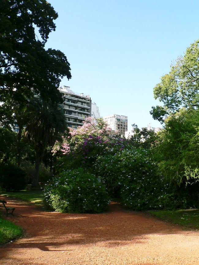 カルロス・タイス植物園の光景。<br /><br /><br />