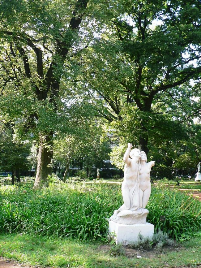 カルロス・タイス植物園の光景。<br /><br /><br />