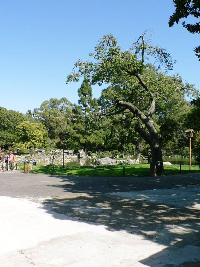 ５月革命記念碑近くの光景。