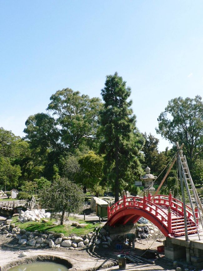 日本庭園の光景。