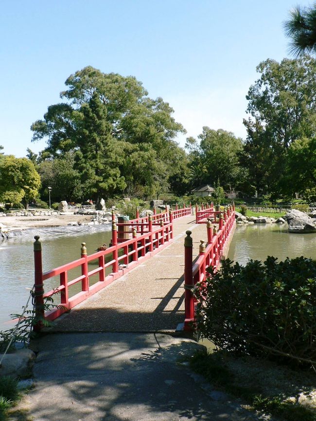 日本庭園の光景。