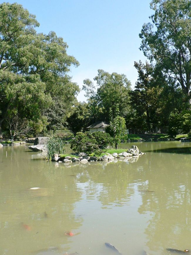 日本庭園の光景。