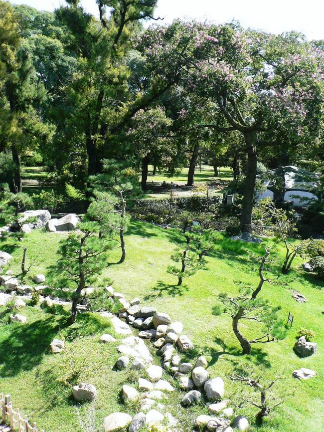 日本庭園の光景。