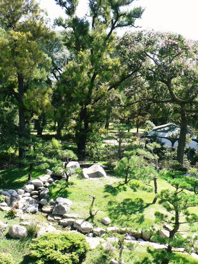 日本庭園の光景。