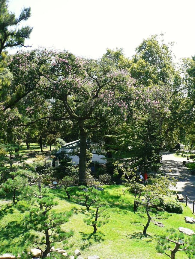 日本庭園の光景。