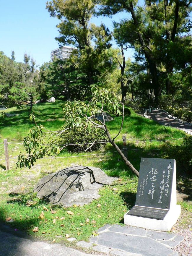 日本庭園の光景。