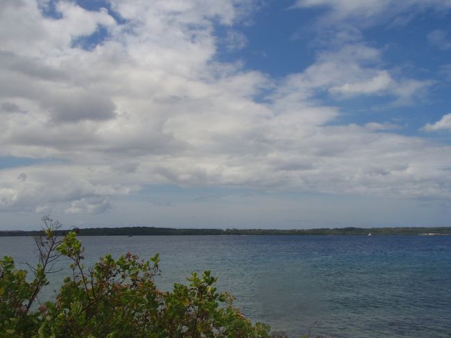 3月3日<br /><br />さぁ朝早くから集合<br />8：00にプールサイド<br /><br />みんなで車に乗り込んで移動〜<br /><br />1本目＆2本目【OUT HOUSE BEACH】<br />今日はアドバンスの講習は私だけらしく<br />オープンウォータの人たちと一緒に講習…<br /><br />1本目はリフレッシュを兼ねつつ中性浮力<br />ホバーリングうまくできませーーーん！<br /><br />2本目はナビゲーション<br />コンパスの説明を受けてまずは陸で練習<br />それからシュノーケルで水面<br />んで水中という段階を踏んでやりました<br /><br />アドバンスは90度ずつ曲がって四角を描いてもとの位置に戻ると言うことで<br /><br />何とかOKでした。ほっ。<br /><br />3本目は写真の講習<br />とりあえずポイント移動の前にイントラが<br />デジカメ（レンタル）の使い方を教えてくれて<br /><br />ファンダイブチームと相乗りして移動〜<br /><br />