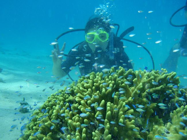 It's me!!<br /><br />ガイドさんがパシャリ