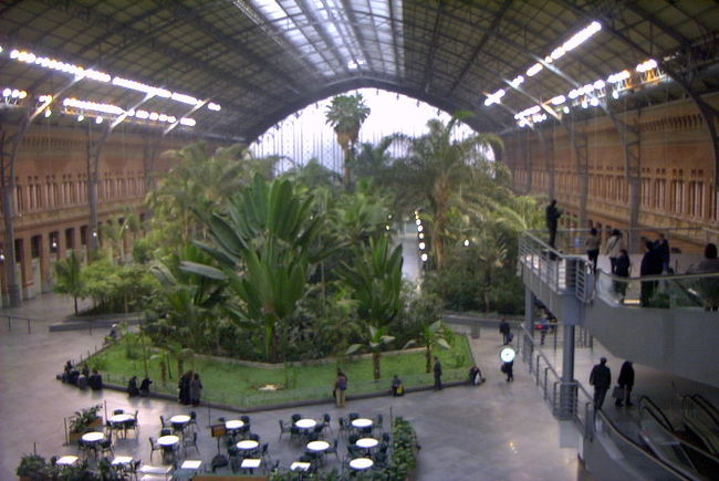 3日目（３／１１）コルドバ、メスキータ<br /><br />マドリッド・アトーチャ駅に驚く<br /> <br />６：３０起床。昨夜もよく眠れなかったが時差ボケは無いようだ。７：３０に朝食、今日も朝からシャンペンを飲む。８：１０に迎えのバスで、スペイン新幹線AVEに乗るためにマドリッド・アトーチャ駅へ行くが、アトーチャ駅には度肝を抜かれる。駅舎がなんと馬鹿でかい植物園に成っているのだ。。