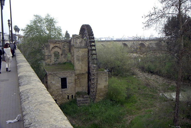 コルドバ駅からはバスに乗ってメスキータへ<br /> <br />コルドバからはバスに乗ってメスキータへ行く。ここから、ガイドさんはＭＡＹＵＭＩさんに替わる。ＭＡＹＵＭＩさんは、素晴らしいガイドで以後大変お世話に成る。日本でマスコミ関係の仕事をしていたが９３年にスペインに来てフラメンコやピアノを習い、その後セビリア人の生活に同化（？）して、ガイド不足でガイドをやるうちにそのまま気に入って仕事として続いているそうだ。後にパラドールに泊まったときに波乱万丈の人生を聞く。またその時に。<br />