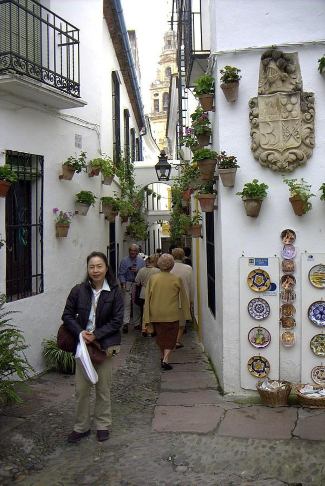 花の小径<br /> <br />メスキータにすぐ側にあるユダヤ人街に行く。花の小径と言われる、迷路のような細い石の道が入り組んでいる。細い道からはアルミナール塔が見える。細い小路からカテドラルなどが見えるようにするのはスペインではよく見られる風景だ。ここでも白壁には色とりどりの鉢植えや絵皿が直接飾ってあり、面白い。日本では無い風景だが、狭い町並みの知恵だと思う。<br /><br />