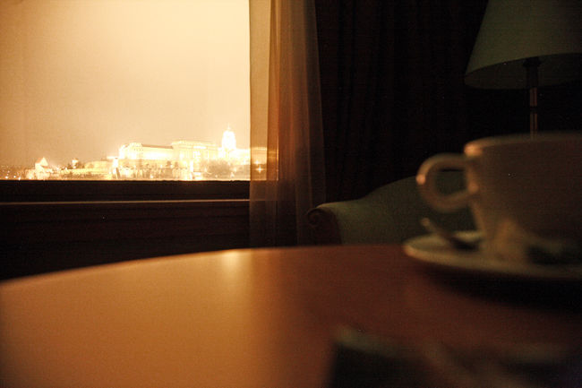 迷うことなくホテルに到着。<br />INTERCONTINENTAL BUDAPEST<br />http://www.ichotelsgroup.com/intercontinental/en/gb/locations/overview/budapest