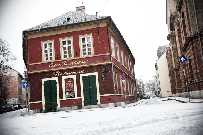 いつの間にか雪が降ってきました。軽くマイナス。