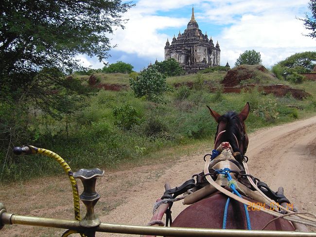 遺跡は馬車で巡ります。<br /><br />車でもいけますが、やはりこの雰囲気はゆっくりゆっくり馬車で周るのが一番です。