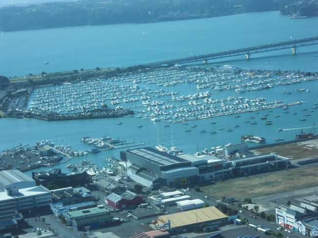 スカイタワーから