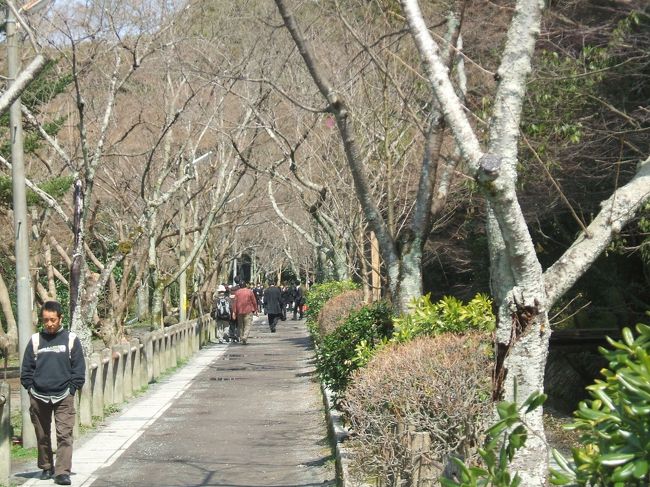 　「哲学の道」です。この道の両脇には桜の木が植えてありシーズンになると桜のトンネルのようになります。満開の頃に歩いてみたいです。