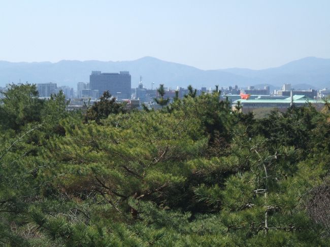 　上の写真の三門は登れるので登ってみました。景色は京都市内が見られます。