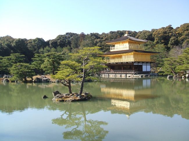 　あまりにも綺麗なのでもう１枚パチリ♪