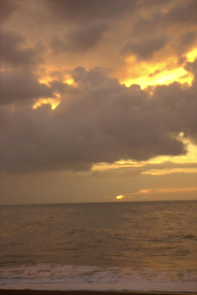 しばし海岸で<br /> <br />しばし眺めた後、８時の朝食まで海岸をぶらぶら散歩して貝殻を拾う。大小様々な綺麗な貝殻を拾う事が出来た。