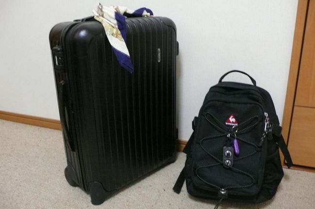 ○リュック<br />・ルコック　デイバック<br />　このバックはベトナムに行く前に買いそれからずっと一緒です。とても小さいですが、いつもカメラとガイドブックぐらいしか入れていなかったので、スカスカで帰りのお土産はこのバック入るかどうかで決めていました。帰る時だけ一杯になります。<br />　一眼レフを買うまでは一切問題が無かったのですが一眼レフ入れるには小さくてそろそろ引退かな・・・<br /><br />○ケース<br />・RIMOWA　Salsa Plus 851.52 CabinTrolley<br />　サイズ：55×40×19.5cm素材：ポリカーボネイト<br />　ベトナム旅行時に布製のキャリーバックを空港で壊されてしまってカンボジアに行く前に購入しました。ポイントとしては、機内に持ち込めるギリギリのサイズです。今までの旅行で一度だけ重量オーバーで断られたことがありますが、以外は全て機内持ち込みしています。空港で、荷物が出てくるのを待たなくて良いし、壊されたり届かないとか心配しなくて良いので助かります。 <br />