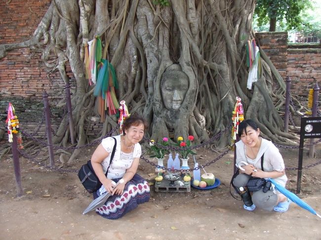 アユタヤの菩提樹の樹に取り込まれた仏頭　しゃがんで低い位置でなら写真を写しても良いとガイドさんにいわれました