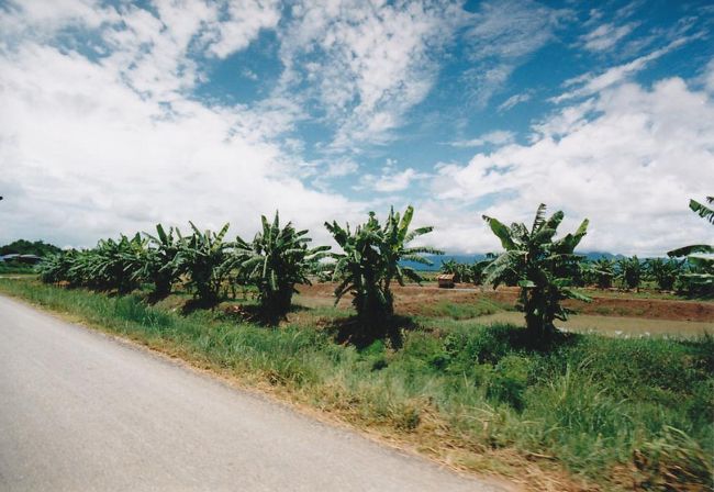 何にもないところへ・・・。<br />本当に目的地に行けるのだろうか？と少々不安にも