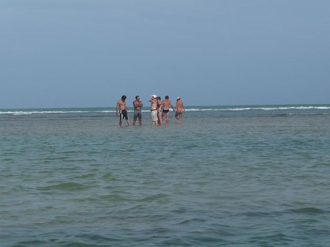 ふと、沖のほうに目をやると・・・<br /><br />海の中におじさんたちの集会所が！！