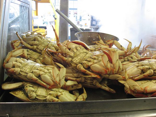 カニを選びます。<br />重さで値段が決まる〜。<br />２人で１パイにしたので、大き目を選ぶ。