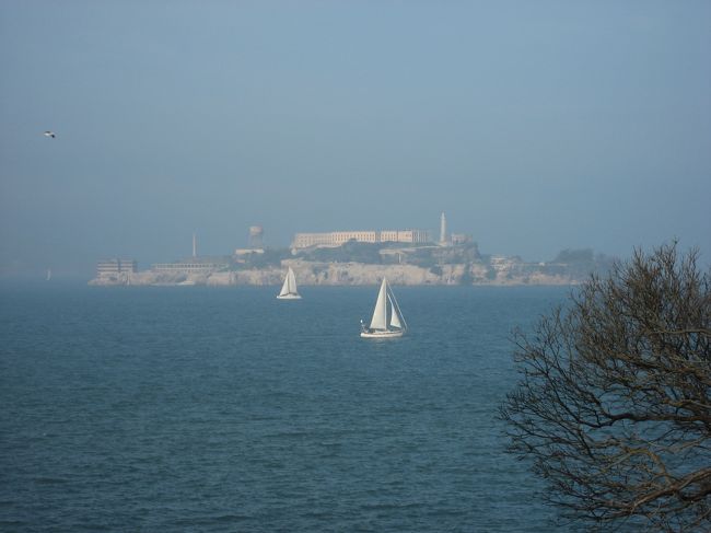 アルカトラス島<br />時間がなかったので、アルカトラス島の観光へは行きませんでした〜。<br />けっこう近くに見えるのに、色んなガイドブックを見てると収容されていた人たちにとっては近くてとっても遠い場所なんでしょうね。