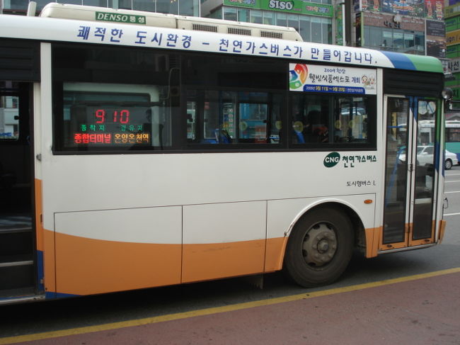 このバスに乗って来ました