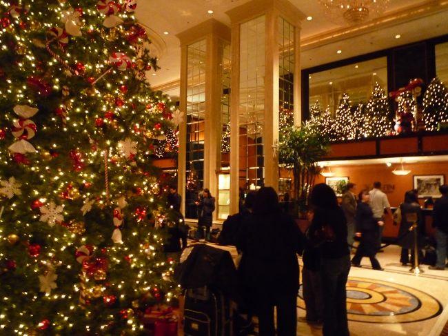 可愛らしいツリーもあります。