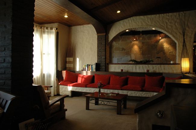 ホテル・ミケランジェロのフロント横のソファ。<br />ここに座ってバスを待ちます。<br />棚の上には何故か歩き方がありました。<br />廊下の途中にあるインターネットも無料で使えます。