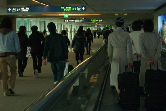 下手に国内旅行するより近い韓国。<br /><br />あっという間に入国してました。<br /><br /><br />スッチーの、スカイブルーの機体に合わせたメイクと髪留めも。<br /><br /><br />んんー、ステキ！<br /><br />