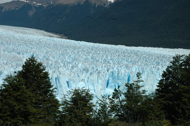 見えてきたー！