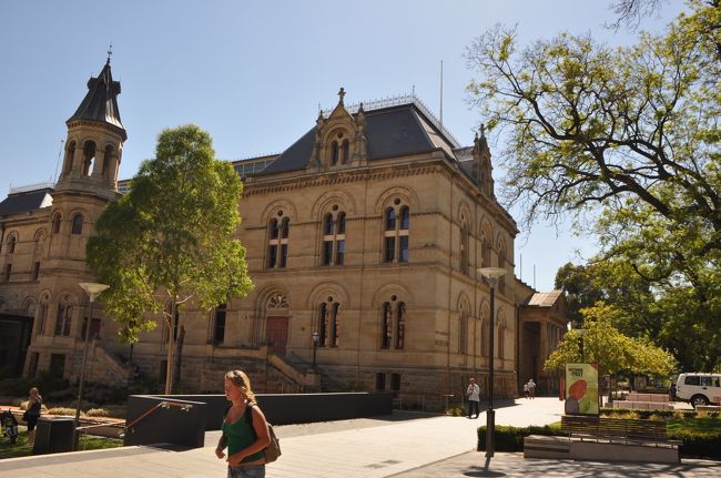 南オーストラリア博物館