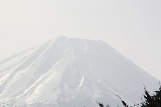 本栖湖からの富士山