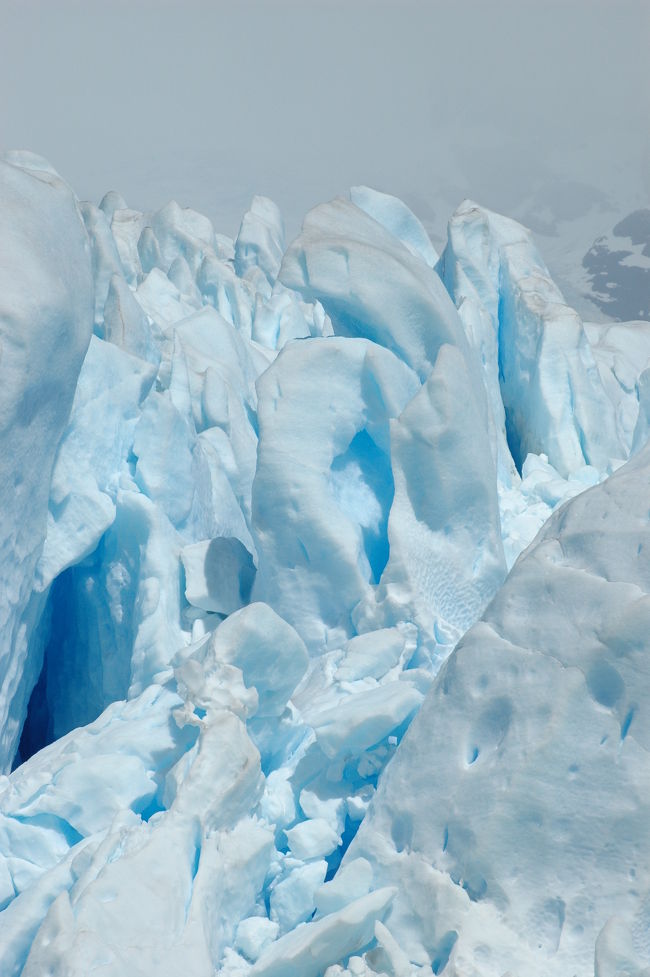 ここからしばらく望遠レンズに着替えて