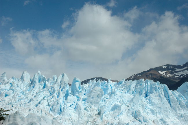なのでこのような見上げアングルで眺めることができます。