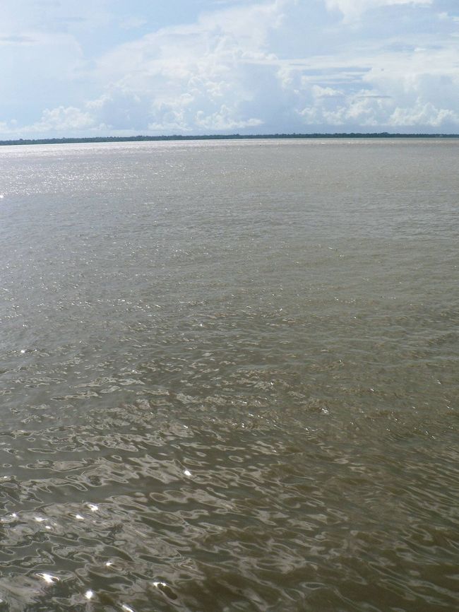 アマゾン河口の光景。