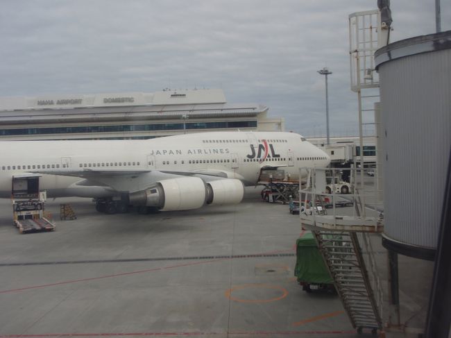 今回はJALを利用しました。<br />