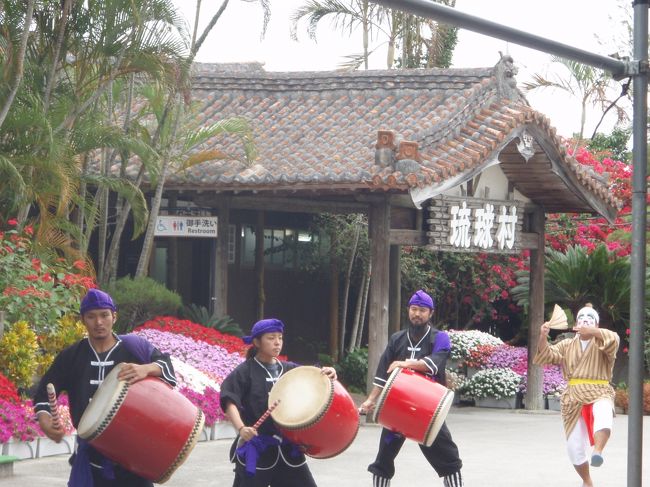 琉球村ゲート前でのエイサーショーです。<br />おきなわワールドでの素晴らしいエイサーショーを見てしまったあとだっただけに、とっても消化不良な内容でした。<br />どう考えても、ダンサーのみなさんの、エイサーに対する気合いが違いすぎる。。。<br />時間も短くて、たったこれだけ？？？って感じでした。