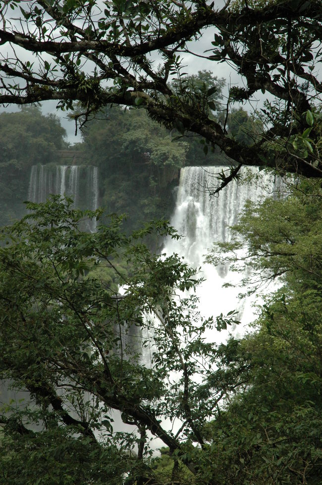 歩きながら木々の隙間から見える滝