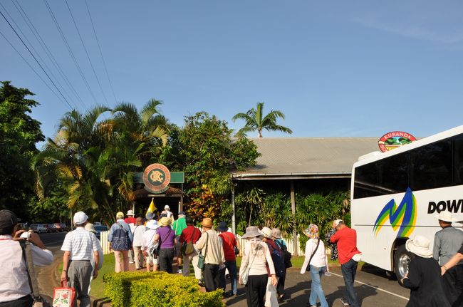 世界遺産キュランダー熱帯雨林1日観光