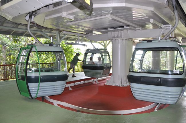 帰路はスカイレール（約４０分間のケーブルカー）で<br />世界遺産の熱帯雨林を上空から