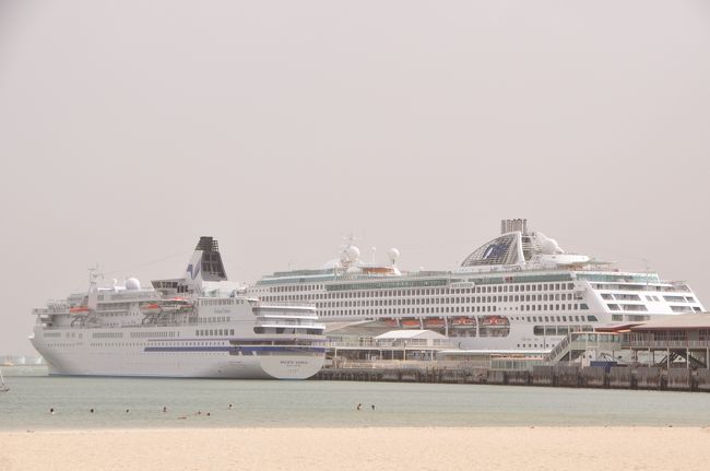 2/7メルボルンで豪州大火に遭遇、気温４６，４度風速１０ｍの驚異適な体験をする、写真も煙でかすむ。