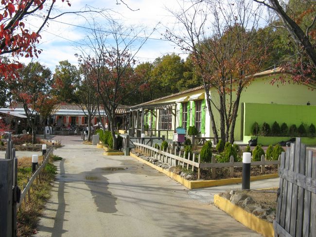 11/2...<br />京義道・坡州（パジュ）プロバンス...<br />何だか...　秋ですね〜...＾＾；