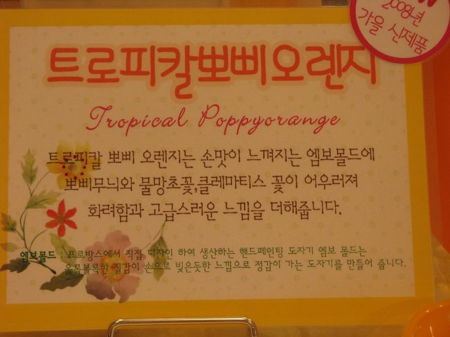 11/2...<br />京義道・坡州（パジュ）プロバンス...<br />プロバンス内にある『リビングショップ』...<br />うん...　確かに『柄』が、トロピカル...ね...