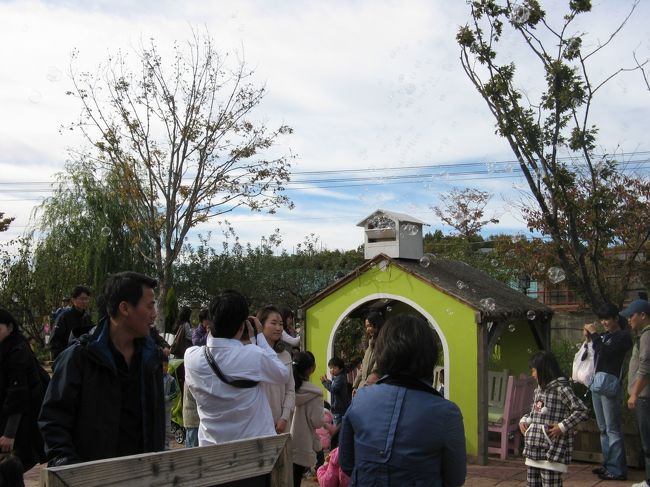 11/2...<br />京義道・坡州（パジュ）プロバンス...<br />何だかシャボン玉が...